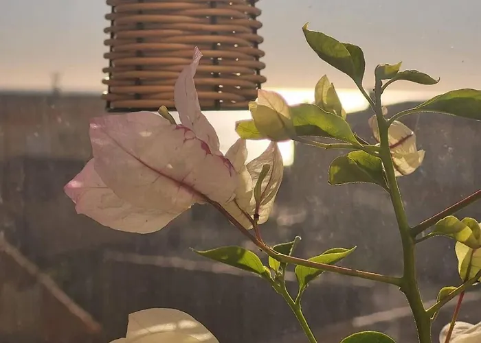 Cosy Avec Vue Au 4e アパート ヴァンドル・プラージュ